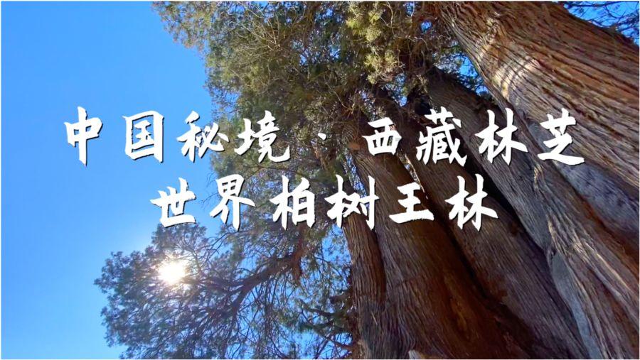 阳光女孩装扮